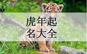给宝宝取名字2022年属虎女孩名字