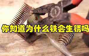 为什么铁会生锈阅读理解