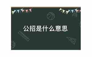 公招是什么意思是编制吗