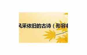 形容老人友情的唯美句子