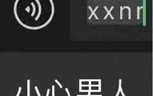 xXs是什么意思骂人的