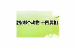 十四属相宝宝名字怎么取