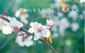 写春天环境优美的句子是哪一句