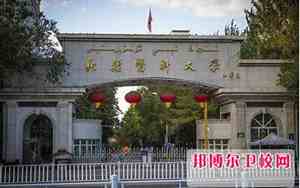 新疆乌鲁木齐大学有哪些