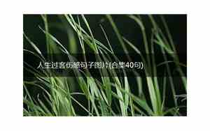 伤感过客的句子简短