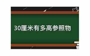 30厘米有多长图片尺子