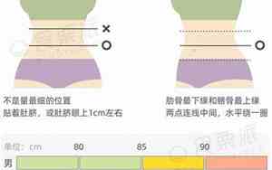2尺2的腰围是多少厘米属什么码