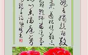 古代描写牡丹的优美句子摘抄