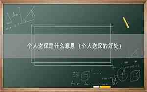 电脑个人送保是什么意思