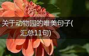关于动物园的唯美句子英文