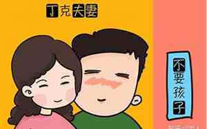 丁克什么意思解释一下