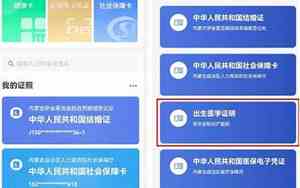 准生证电子版查询