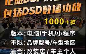 DSP汽车功放