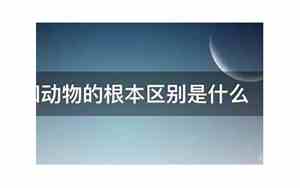 人和动物的区别是什么历史题