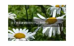 关于赞美奶奶的句子有哪些