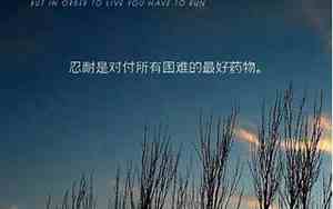 付出多少正能量句子图片