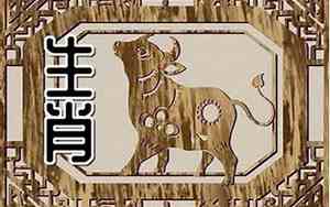 85年属什么生肖 今年多大了