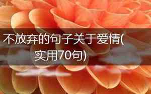 努力过的爱情放弃的句子简短