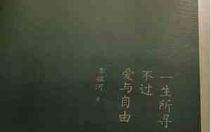 一生所爱句子经典短句