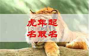 2012年虎宝宝取名字男孩